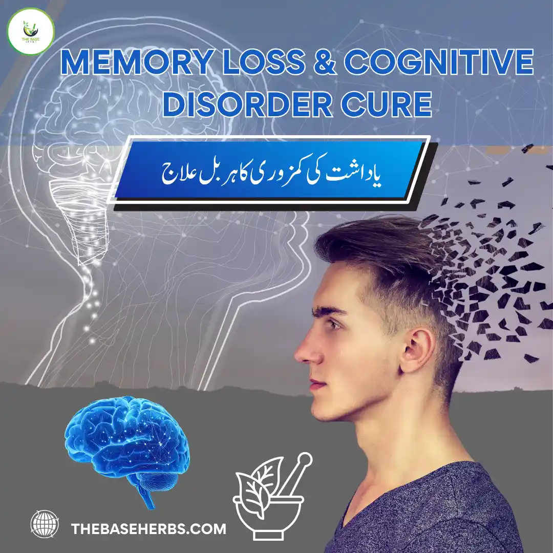 یادداشت کی کمزوری اور ذہنی کمزوری کا ہربل اور  قدرتی علاج